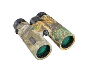 Best Binoculars for Bow Hunting