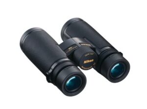 Best Binoculars for Bow Hunting