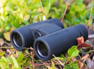 Best Binoculars for Bow Hunting