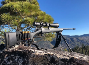Best Scopes for 400 Yards
