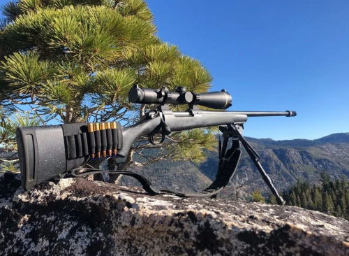 Best Scopes for 400 Yards