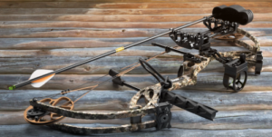 Best Compound Bows for Target Shooting