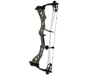 Best Compound Bows for Target Shooting