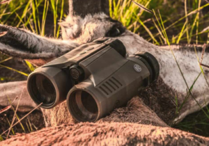 Best Rangefinder Binoculars for Hunting