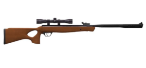 Best Small Game Hunting Air Rifles