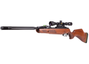Best Small Game Hunting Air Rifles